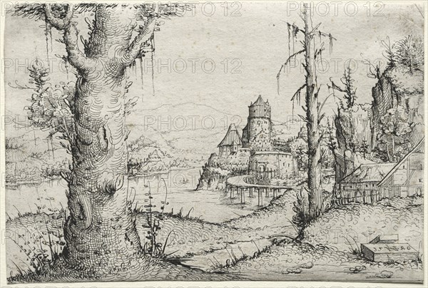 River landscape with large tree at left, 1546. Augustin Hirschvogel (German, 1503-1553). Etching