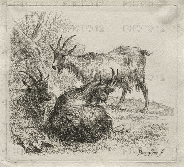 Three Goats. Nicolaes Berchem (Dutch, 1620-1683). Etching