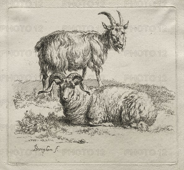 Ram and Goat. Nicolaes Berchem (Dutch, 1620-1683). Etching