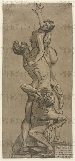 The Abduction of a Sabine Woman. Andrea Andreani (Italian, about 1558–1610), after Giambologna (Flemish, 1529-1608). Chiaroscuro woodcut