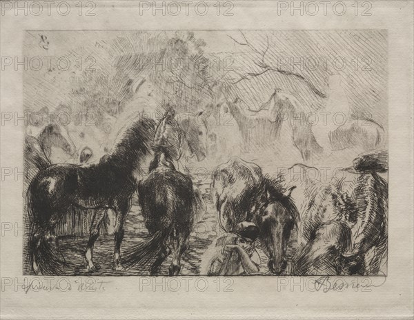 Horse Market in Algiers, 1898. Albert Besnard (French, 1849-1934). Etching; sheet: 27.2 x 37.5 cm (10 11/16 x 14 3/4 in.); plate: 17.5 x 23.7 cm (6 7/8 x 9 5/16 in.).