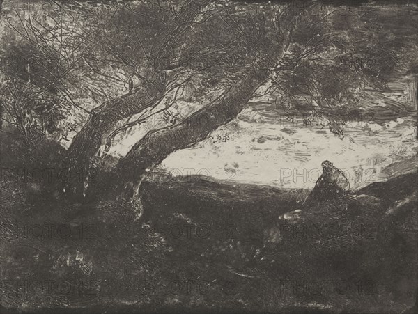 The Dreamer, original impression 1854, printed in 1921. Jean Baptiste Camille Corot (French, 1796-1875), M. Le Garrec. Cliché-verre; sheet: 16.8 x 21.4 cm (6 5/8 x 8 7/16 in.); image: 15 x 19.9 cm (5 7/8 x 7 13/16 in.)