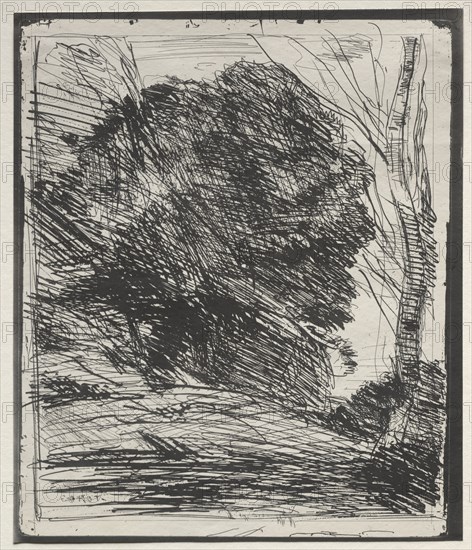 Trees on the Mountain, original impression 1856, printed in 1921. Jean Baptiste Camille Corot (French, 1796-1875). Cliché-verre; sheet: 20.3 x 17.2 cm (8 x 6 3/4 in.); image: 18.5 x 15.5 cm (7 5/16 x 6 1/8 in.).