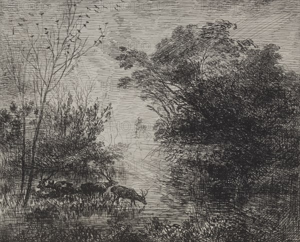Stags, original impression 1862, printed in 1921. Charles François Daubigny (French, 1817-1878). Cliché-verre; platemark: 16.6 x 19.7 cm (6 9/16 x 7 3/4 in.).