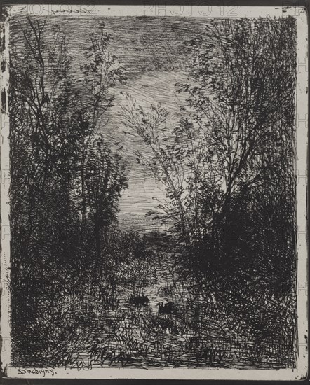 A Stream in a Glade, original impression 1862, printed in 1921. Charles François Daubigny (French, 1817-1878). Cliché-verre; sheet: 20.9 x 17.1 cm (8 1/4 x 6 3/4 in.); platemark: 20 x 16.5 cm (7 7/8 x 6 1/2 in.)