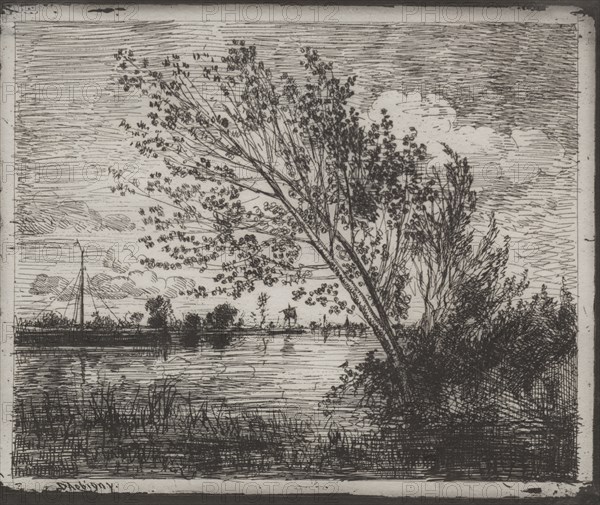 The cliché-verre was reproduced in les "Grands Peintres-Graveurs depuis Rembrandt jusqu'à Whistler" in a special issue of "Studio" published in 1913-14.: A Cluster of Alders, original impression 1862, printed in 1921. Charles François Daubigny (French, 1817-1878). Cliché-verre; sheet: 17.3 x 20.6 cm (6 13/16 x 8 1/8 in.); platemark: 16.4 x 20 cm (6 7/16 x 7 7/8 in.)
