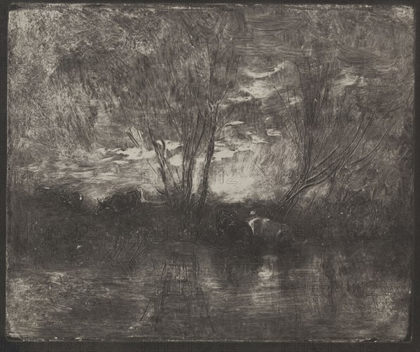 Cows at a Watering Place, original impression 1862, printed in 1921. Charles François Daubigny (French, 1817-1878). Cliché-verre; sheet: 17.8 x 21.2 cm (7 x 8 3/8 in.).