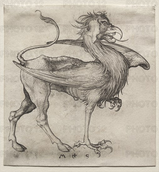 The Griffin, 1400s. Martin Schongauer (German, c.1450-1491). Engraving; sheet: 10.8 x 10.3 cm (4 1/4 x 4 1/16 in.); mat size: 49 x 36.2 cm (19 5/16 x 14 1/4 in.)