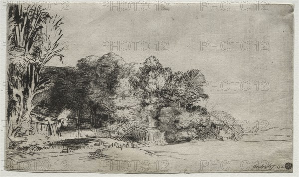 Clump of Trees with a Vista, 1652. Rembrandt van Rijn (Dutch, 1606-1669). Etching and drypoint; sheet: 12.6 x 21.4 cm (4 15/16 x 8 7/16 in.); platemark: 12.4 x 21.2 cm (4 7/8 x 8 3/8 in.)