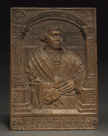 Portrait of Georg Knauer, 1537. Peter Dell (German, 1490-1552). Pearwood; overall: 14 x 8.9 cm (5 1/2 x 3 1/2 in.).