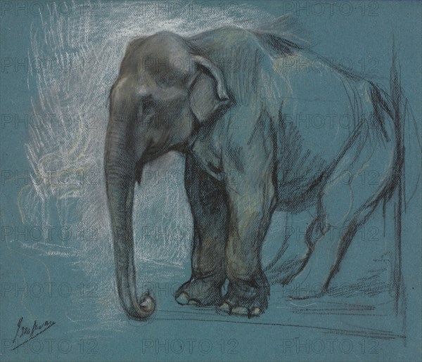 Study of an Elephant. John Macallan Swan (British, 1847-1910). Charcoal; sheet: 22.8 x 26.7 cm (9 x 10 1/2 in.).