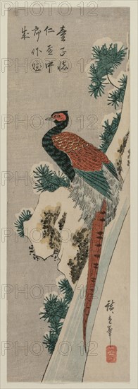 Copper Pheasant by Snowy Waterfall, late 1830s or early 1840s. Ando Hiroshige (Japanese, 1797-1858). Color woodblock print; overall: 33.4 x 15.3 cm (13 1/8 x 6 in.).