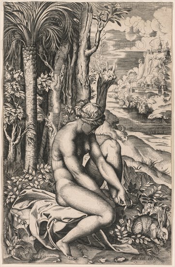 Venus Wounded by a Rose's Thorn, c. 1516. Marco Dente (Italian, c. 1486-1527), after Raphael (Italian, 1483-1520), published by Antonio Salamanca (c.1500-1562). Engraving; sheet: 26.1 x 16.8 cm (10 1/4 x 6 5/8 in.)