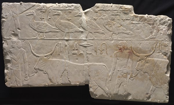 Relief of Men Bringing Birds and Cattle, c. 2311-2281 BC. Egypt, Saqqara, Old Kingdom, Early Dynasty 6, 2311-2140 BC. Painted limestone; overall: 57.4 x 98 cm (22 5/8 x 38 9/16 in.).
