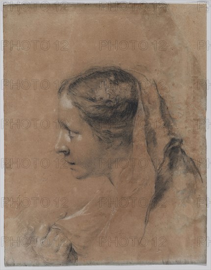Head of a Woman in Profile with a Scarf. Giovanni Battista Piazzetta (Italian, 1682-1754). Black chalk, stumped, heightened with white chalk and gypsum; sheet: 40 x 31.2 cm (15 3/4 x 12 5/16 in.).