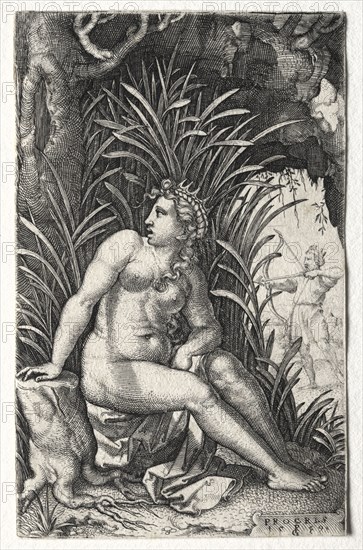 Procris, 1539. Georg Pencz (German, c. 1500-1550). Engraving