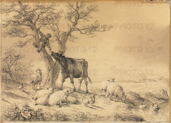 Landscape with Animals and Boy in Tree, 1866. Eugène Joseph Verboeckhoven (Belgian, 1798-1881). Black chalk or crayon (extended with water in places) and brush and gray and black wash, heightened with white chalk; framing lines in black chalk; sheet: 29.3 x 41.1 cm (11 9/16 x 16 3/16 in.); image: 28.6 x 39.8 cm (11 1/4 x 15 11/16 in.).
