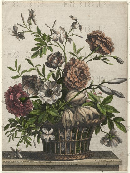 Marigolds, single Anemone, Jasmine.... Jean-Baptiste I Monnoyer (French, c. 1636-1699). Etching and engraving, hand colored