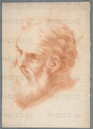 Head of an Old Man, 1700s. Italy, 18th century. Red chalk (stumped); framing lines in graphite (left, bottom); sheet: 39.8 x 27.7 cm (15 11/16 x 10 7/8 in.); secondary support: 42.2 x 30.3 cm (16 5/8 x 11 15/16 in.).