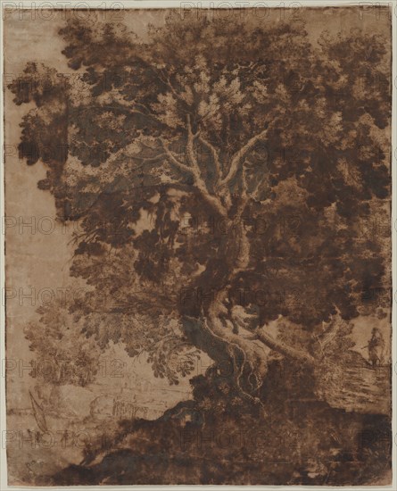 Tree in a Landscape, mid 17th century. Ercole Bazicaluva (Italian, c. 1610-1661). Pen and brown ink; framing lines in brown ink; sheet: 46 x 37.3 cm (18 1/8 x 14 11/16 in.); secondary support: 46 x 37.3 cm (18 1/8 x 14 11/16 in.).