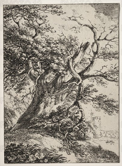 Specimens of Polyautography:  Landscape with an Oak Tree, 1803. Thomas Hearne (British, 1744-1817). Lithograph