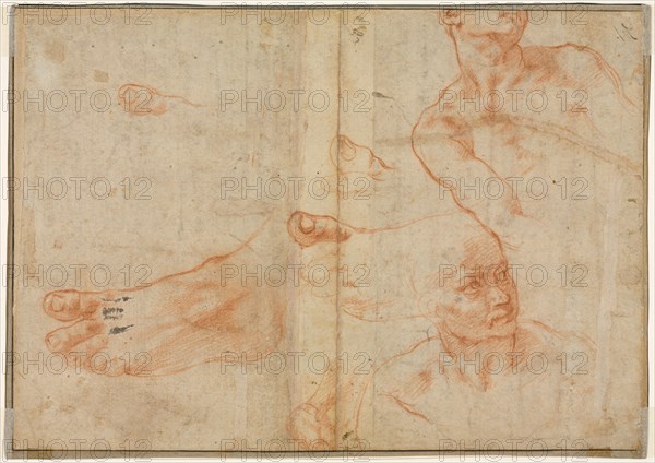 Figure Studies for the Sistine Ceiling (verso), 1510-1511. Michelangelo Buonarroti (Italian, 1475-1564). Red chalk heightened with traces of white; sheet: 23.4 x 33.5 cm (9 3/16 x 13 3/16 in.); secondary support: 24.4 x 34.4 cm (9 5/8 x 13 9/16 in.).