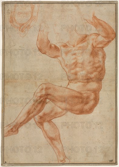 Study for the Nude Youth over the Prophet Daniel (recto); Figure Studies for the Sistine Ceiling (verso), 1510-11. Michelangelo Buonarroti (Italian, 1475-1564). Red chalk over black chalk; sheet: 34.3 x 24.3 cm (13 1/2 x 9 9/16 in.); secondary support: 34.4 x 24.4 cm (13 9/16 x 9 5/8 in.).