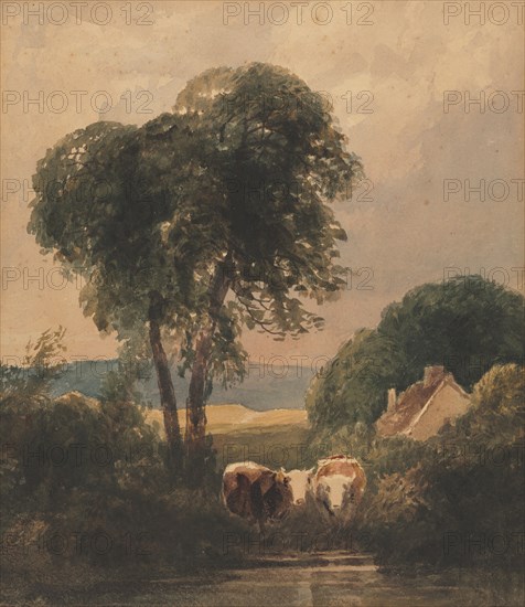 Welsh Landscape with Cattle. Peter De Wint (British, 1784-1849). Watercolor; sheet: 32.7 x 28.6 cm (12 7/8 x 11 1/4 in.).