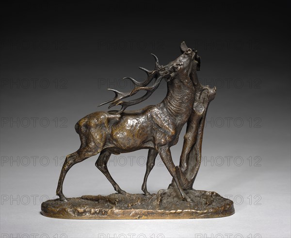 Stag, c. 1825 - 1879. Pierre Jules Mène (French, 1810-1879). Bronze; overall: 22.3 x 9 cm (8 3/4 x 3 9/16 in.)