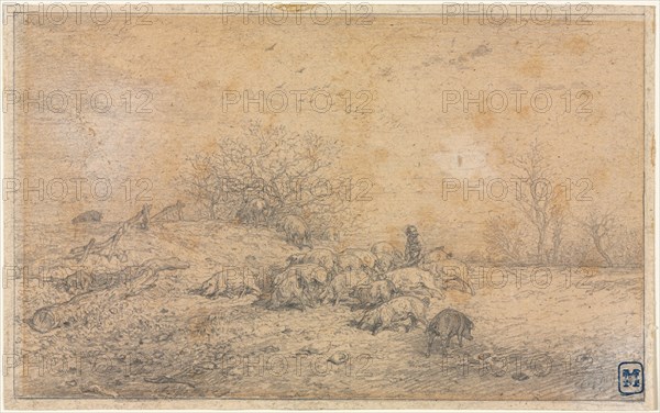 Herd of Pigs, c. 1845. Charles-Émile Jacque (French, 1813-1894). Graphite; framing lines in graphite; sheet: 13.8 x 22.2 cm (5 7/16 x 8 3/4 in.); image: 13.2 x 21.5 cm (5 3/16 x 8 7/16 in.).