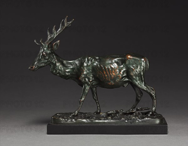 Deer, after 1830. Imitator of Antoine-Louis Barye (French, 1796-1875). Bronze; overall: 15.7 x 7 cm (6 3/16 x 2 3/4 in.)