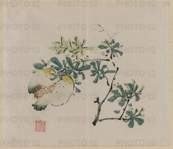 Branch with Pomegranate, 18th Century. China, Qing dynasty (1644-1911). Color woodblock print; overall: 28.1 x 24.4 cm (11 1/16 x 9 5/8 in.).
