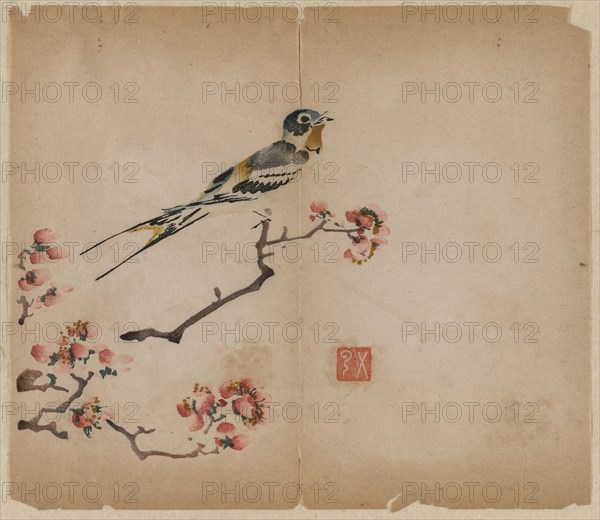 Swallow on Flowering Peach Branch, 1368-1644. China, Ming dynasty (1368-1644) or later. Color woodblock print; overall: 28.8 x 24.8 cm (11 5/16 x 9 3/4 in.).