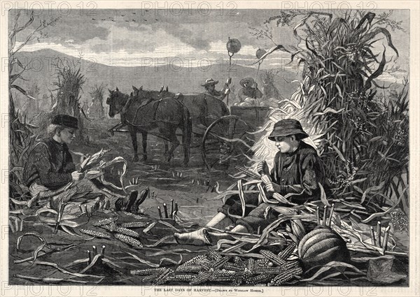 The Last Days of Harvest, 1873. Winslow Homer (American, 1836-1910). Wood engraving; sheet: 28.1 x 39.7 cm (11 1/16 x 15 5/8 in.); image: 23.3 x 33.7 cm (9 3/16 x 13 1/4 in.)