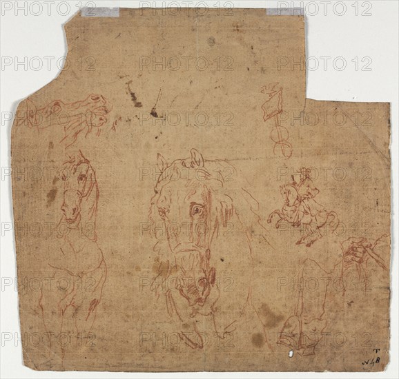 Sketches of Horses and Riders (recto), 17th century. Flanders, 17th century. Red chalk; sheet: 24 x 25 cm (9 7/16 x 9 13/16 in.).