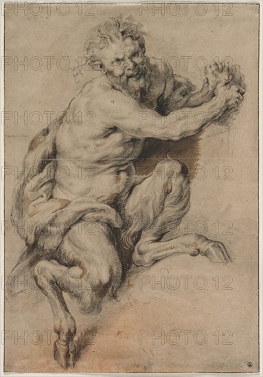 A Faun Grasping a Bunch of Grapes, after 1616/18. Studio of Peter Paul Rubens (Flemish, 1577-1640). Black chalk and brush and brown wash; framing lines in black ink; sheet: 37.8 x 26.2 cm (14 7/8 x 10 5/16 in.).