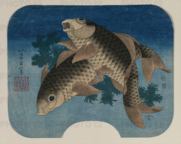 Carp Swimming by Water Weeds, 1831. Katsushika Hokusai (Japanese, 1760-1849). Color woodblock print; fan; sheet: 24.2 x 29.2 cm (9 1/2 x 11 1/2 in.).
