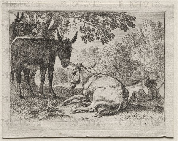 Donkeys. Herman van Swanevelt (Dutch, c. 1600-1655). Etching