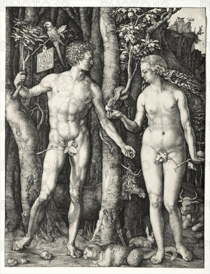 Adam and Eve, 1504. Albrecht Dürer (German, 1471-1528). Engraving; sheet: 25.2 x 19.4 cm (9 15/16 x 7 5/8 in.); image: 25 x 19.2 cm (9 13/16 x 7 9/16 in.)