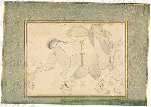 Camel and Groom; Single Page Illustration, c. 1545-1576. Style of Shaykh Muhammad (Iranian). Ink, gold, and opaque watercolor on paper; image: 21.4 x 28.4 cm (8 7/16 x 11 3/16 in.); overall: 28.6 x 40.8 cm (11 1/4 x 16 1/16 in.).
