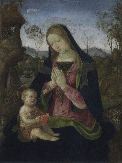 Virgin and Child, c. 1490-1500. Pintoricchio (Italian, c. 1454-1513). Tempera and oil on wood; framed: 75.5 x 60 x 11 cm (29 3/4 x 23 5/8 x 4 5/16 in.); unframed: 45.5 x 34.2 cm (17 15/16 x 13 7/16 in.)
