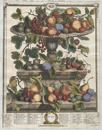 Twelve Months of Fruit:  June, 1732. Henry Fletcher (British, active 1715-38). Engraving, hand-colored; sheet: 43.6 x 33.6 cm (17 3/16 x 13 1/4 in.).