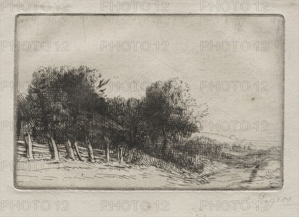 Landscape (Un Paysage). Alphonse Legros (French, 1837-1911). Etching and drypoint