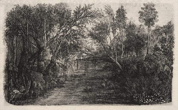 This etching was published in L'Artiste in June 1882: The Stream, 1880. Rodolphe Bresdin (French, 1822-1885). Etching; sheet: 20.8 x 27.7 cm (8 3/16 x 10 7/8 in.); platemark: 13.6 x 21 cm (5 3/8 x 8 1/4 in.).