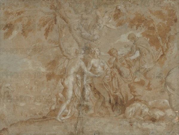 The Judgment of Paris, c. 1585. Carletto Caliari (Italian, 1570-1596). Pen and brown ink and brush and brown wash, with brush and gray wash, over black chalk, heightened with white gouache; framing lines in green ink and red chalk (bottom); sheet: 39.2 x 51.1 cm (15 7/16 x 20 1/8 in.); secondary support: 39.2 x 51.1 cm (15 7/16 x 20 1/8 in.).