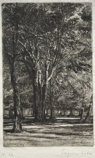 Kensington Gardens (The Larger Plate), 1860. Francis Seymour Haden (British, 1818-1910). Etching and drypoint