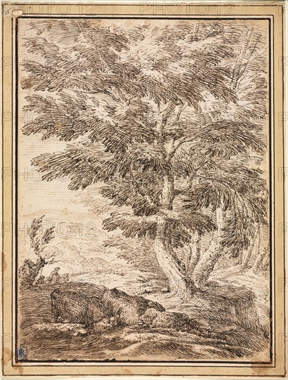 Landscape with Clump of Trees, 17th century. Italy, Bologna, 17th century. Pen and brown ink, with brush and brown wash(?); sheet: 27.7 x 20.5 cm (10 7/8 x 8 1/16 in.); secondary support: 30.5 x 23.3 cm (12 x 9 3/16 in.).