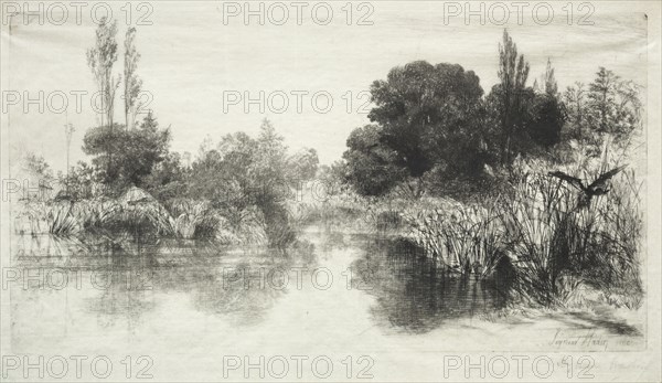 Shere Mill Pond (The Larger Plate), 1860. Francis Seymour Haden (British, 1818-1910). Etching and drypoint