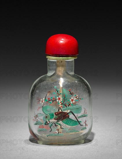 Snuff Bottle with Stopper, 19th Century. China, Qing dynasty (1644-1911). Glass; with cover: 8.4 cm (3 5/16 in.).