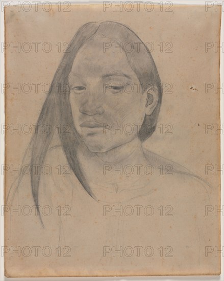 Head of a Tahitian Woman, 1891. Paul Gauguin (French, 1848-1903). Graphite with stumping and graphite wash; sheet: 30.5 x 24.4 cm (12 x 9 5/8 in.).